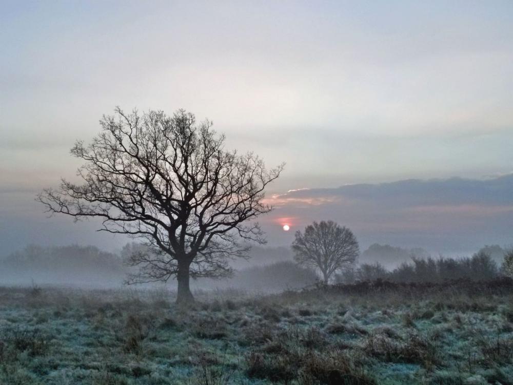 1st Wintry Sun - Dave Burman
